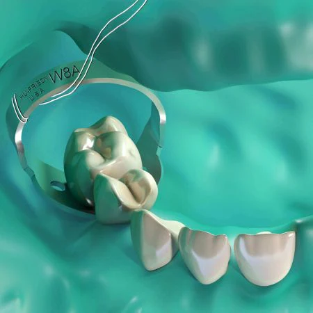 SSC-LLD7__pedo_01_28_2048x2048