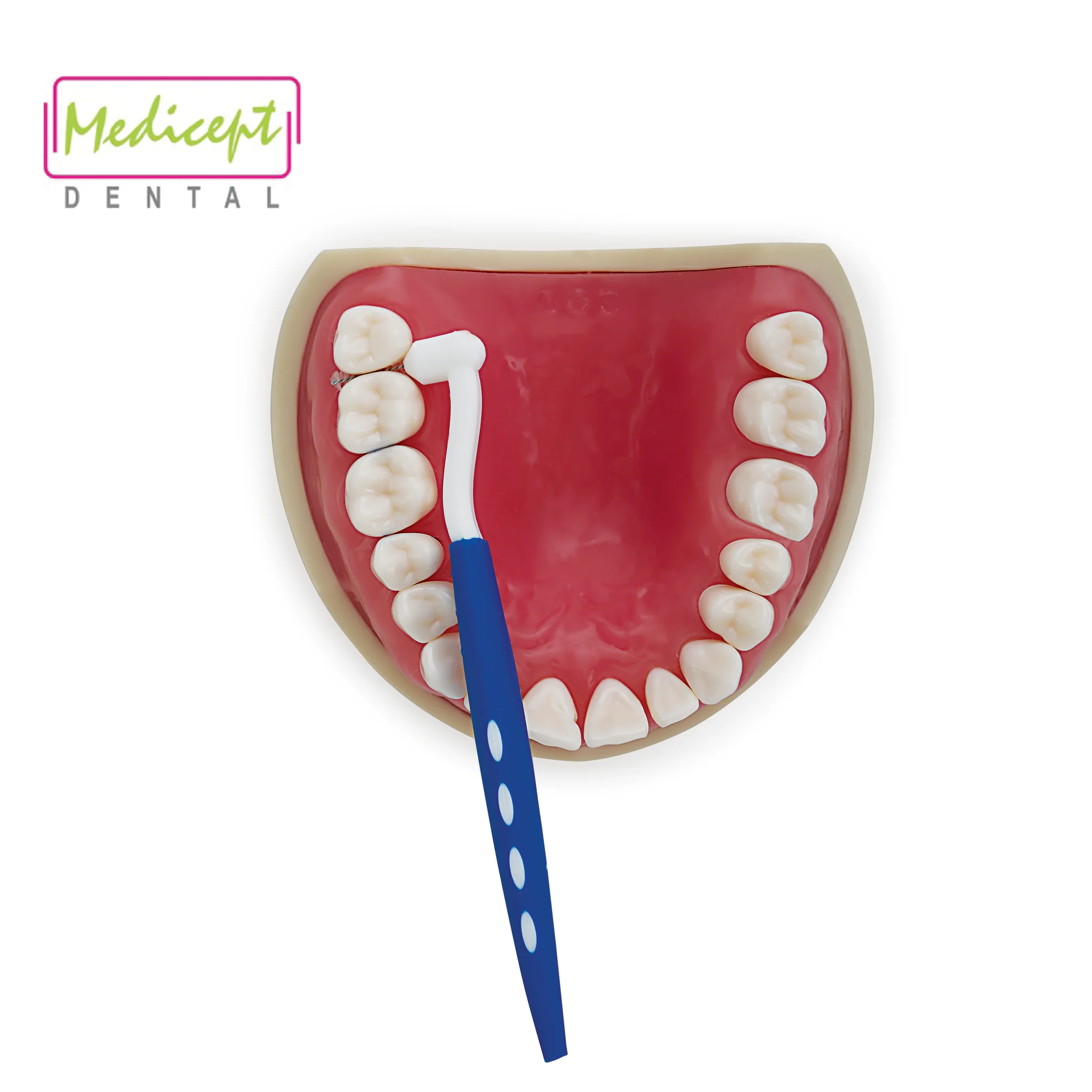 YE2A7360_bc1be1a7-14b6-4017-81dd-5f10be87a833_2048x2048