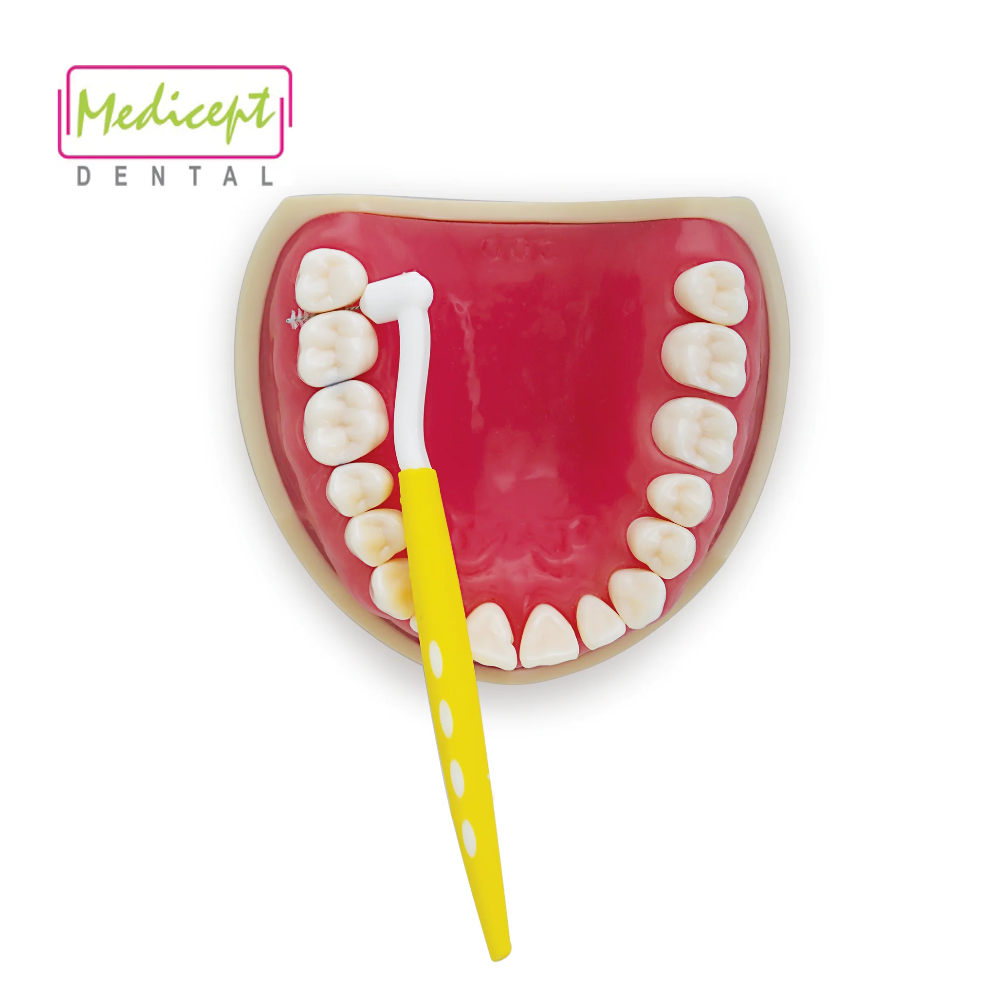 YE2A7362_6f59ac44-ec07-4856-8477-01cb7a6c7a27_2048x2048