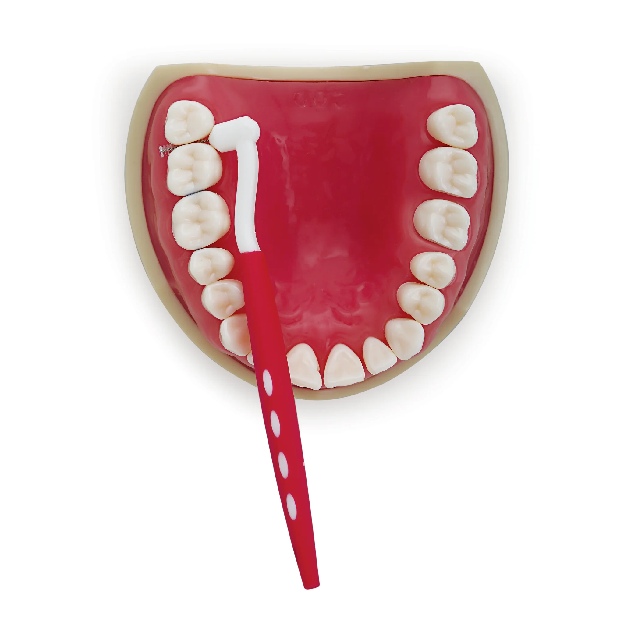 YE2A7364_b9dc5bc0-2a0f-4bd3-a5b5-9175e52a8a56_2048x2048