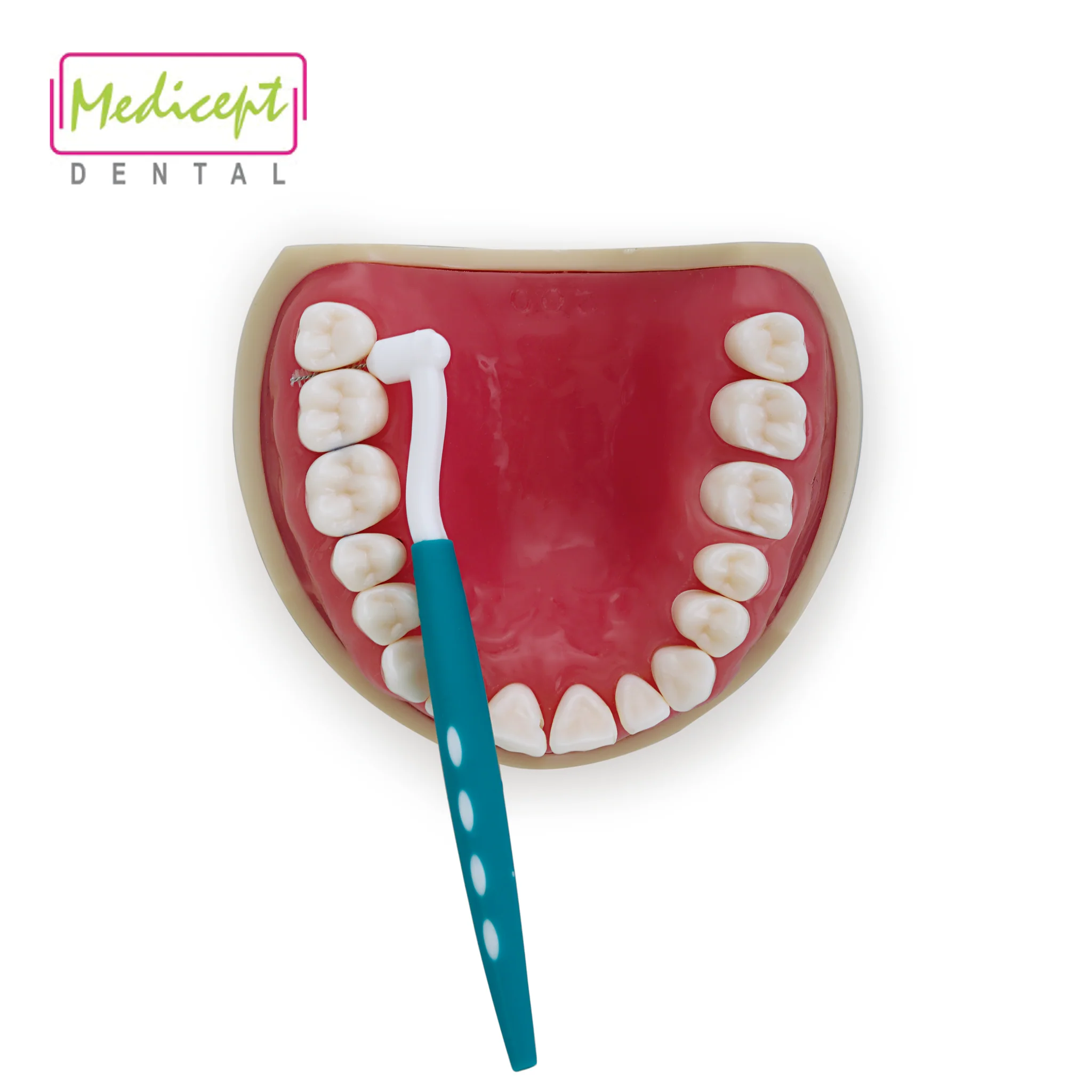 YE2A7365_156f57df-a34a-4289-a323-5eea37f47953_2048x2048