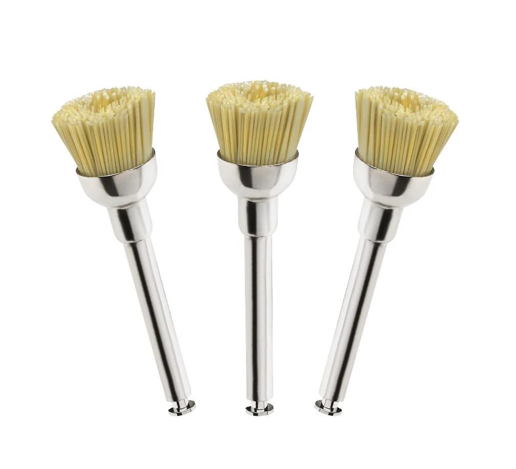 artboard_2__1_2048x2048