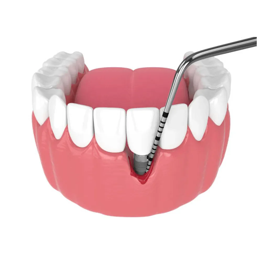 pcpunc15-2_1_2048x2048